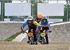 921H8113 bmx-tc-12-9-21
